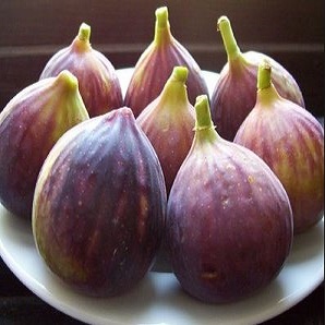 طرح توجیهی فرآوری انجیر