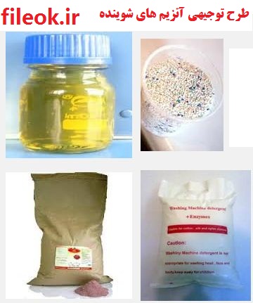 طرح توجیهی تولید آنزیم های شوینده