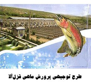 طرح توجیهی پرورش ماهی قزا آلا در روستا